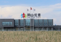 權(quán)威！陰山優(yōu)麥被認(rèn)證為“中國有機(jī)燕麥第 一品牌”